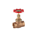 V. GLOBO BRONCE 2 BSP