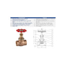 V. GLOBO BRONCE 2 BSP