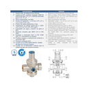 V. REDUCT. DE PRESION 3" BSP