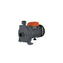 BOMBA CENTRIFUGA 1HP 220V/50HZ