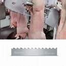 Sierra de cinta Starrett para corte de carne, 19mmX4 dientes, surtida en metros