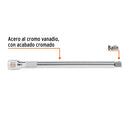 EXTENSION 10" ENC 1/2"