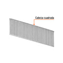 2500 clavos calibre 16, 25 mm para CLNE-16, Truper