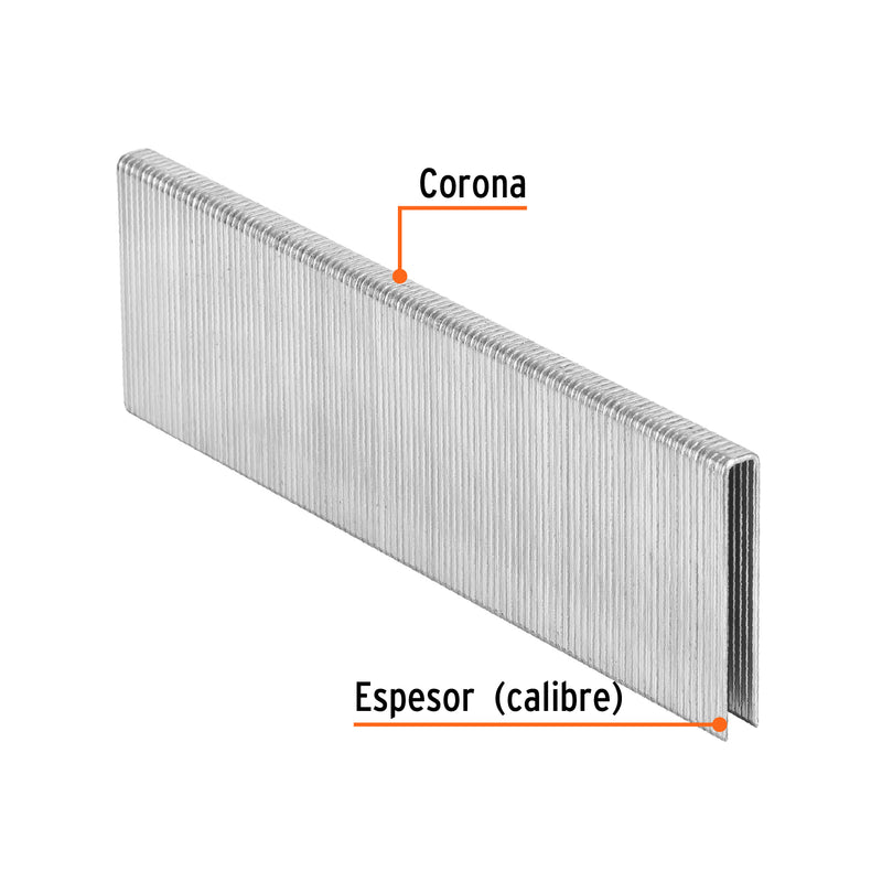 5000 grapas corona 1/4" calibre 18, 38mm p/ENNE-120