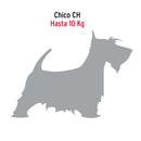 Correa de 1.2 m de paseo para perro, eslabón 2.5 mm, Fiero