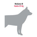 Correa de 1.2 m de paseo para perro, eslabón 3.5 mm, Fiero