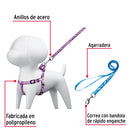 Correa con pechera para perro, 1 cm ancho, Fiero