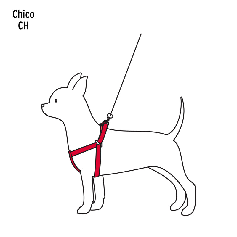 Correa con pechera para perro, 1 cm ancho, Fiero