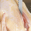 Sierra cinta Starrett para corte de carne Meatkutter Inox 16X0,46 6/SK, cotizado en metros